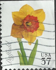 # 3901 USED DAFFODIL