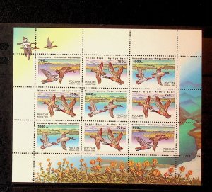 RUSSIA Sc 6286a NH MINISHEET OF 1995 - BIRDS - DUCKS - (AF24)