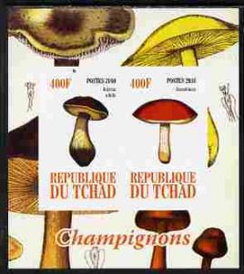 Chad 2010 Mushrooms #1 imperf sheetlet containing 2 value...