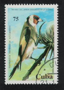 Caribic Eurasian goldfinch Bird 1994 CTO SG#3935