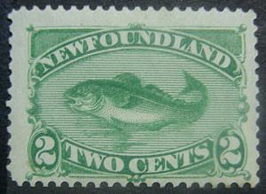 NEWFOUNDLAND 47 MNH FVF Low Start