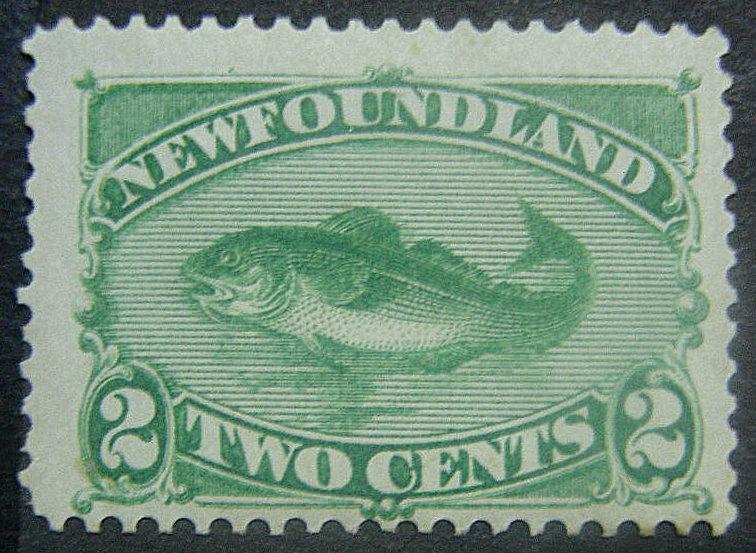 NEWFOUNDLAND 47 MNH FVF Low Start