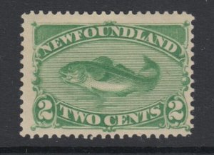 Newfoundland, Scott 46 (SG 46), MHR