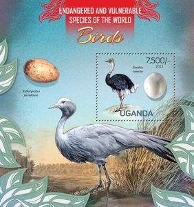 UGANDA - 2013 - Birds - Perf Souv Sheet - Mint Never Hinged