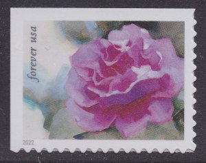 US 5727 Snowy Beauty Camellia F single MNH 2022