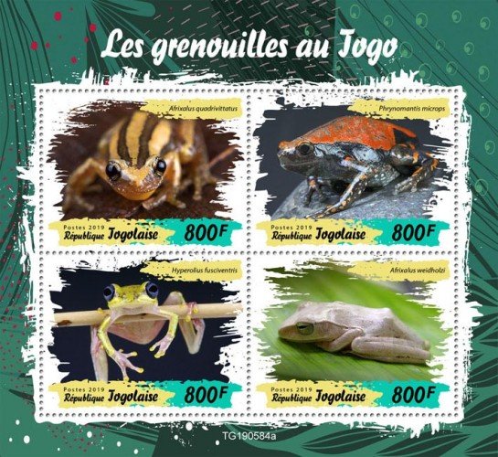 TOGO - 2019 - Frogs of Togo - Perf 4v Sheet - M N H