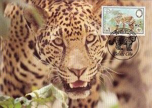 Belize 1983 Maxicard Sc #692 $1 Jaguar WWF