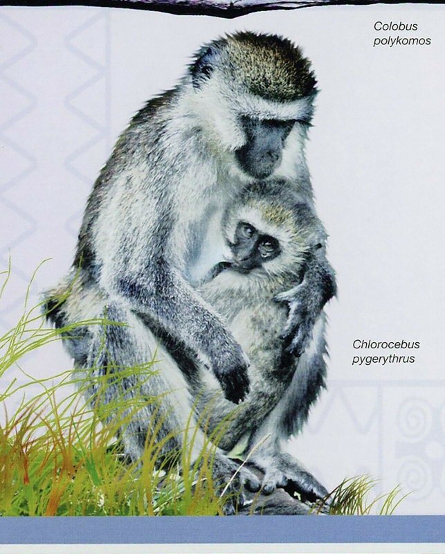Monkeys Stamp Erythrocebus Patas Wild Animals Souvenir Sheet MNH #3488 / Bl.508