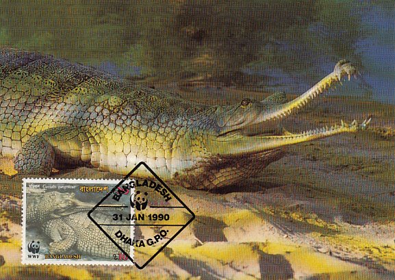 Bangladesh 1990 Maxicard Sc #343 10t Gravial crocodile WWF