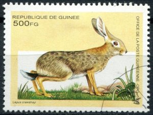 Guinea  Sc#1284 Used, 500fr multi, African Animals (1995) (1995)