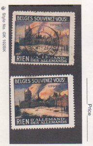 2 Belgium Ypres 1914 Bombing Destruction Poster Stamp MH 1 Used