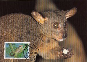 Tanzania 1989 Maxicard Sc #469 10sh Thick-tailed bushbaby WWF