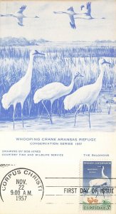 1098 3c WHOOPING CRANE - The Salomons maxicard - Corpus Christi