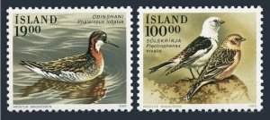 Iceland 671-672, MNH. Michel 697-698. Birds 1989. Phalaropus lobatus; Nivalis.