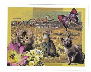 Chad 1998 Cats Abyssinian S/S Sc 742 MNH C12