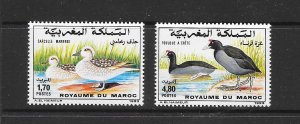 BIRDS - MOROCCO #770-71 MNH