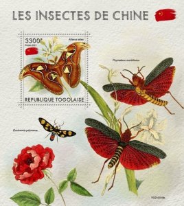 Togo - 2021 Insects of China, Atlas Moth - Stamp Souvenir Sheet - TG210310b