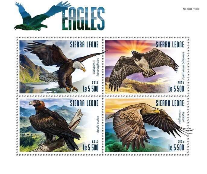 SIERRA LEONE - 2015 - Eagles - Perf 4v Sheet - Mint Never Hinged