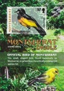 Montserrat - 2009 Official Bird of Montserrat Oriole - Souvenir Sheet - MNH