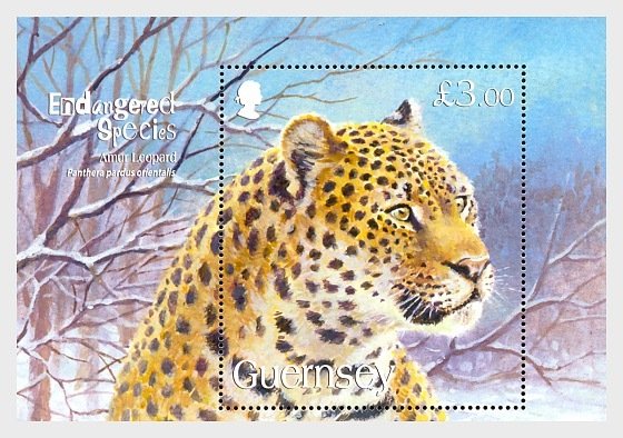 2009 Guernsey Amur Leopard SS  (Scott 1028) MNH