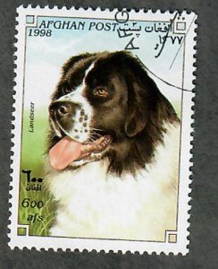 Afghanistan Landseer Dog single from 1998