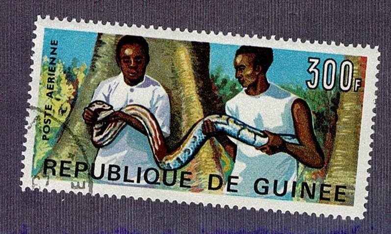 Guinea #C89 C 300fr snake