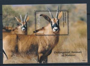 [38770] Malawi 2009 Wild Animals Mammals Roan Antelope MNH Sheet