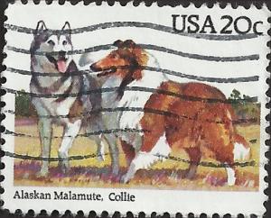 # 2100 USED ALSKAN MALAMUTE AND COLLIE