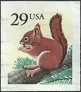 # 2489 USED RED SQUIRREL    