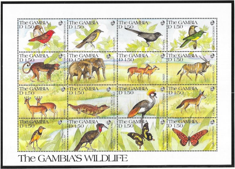 Gambia #1375  2d  The Gambia Birds of Africa  Sheet of 12  (MNH) CV18.50