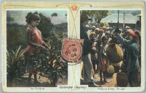 67357 - CEYLON - Postal History -  Beautifull POSTCARD: Colombo 1906