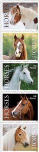 #5891 - 5895 2024 Horses Strip/5 - MNH (After June 17)