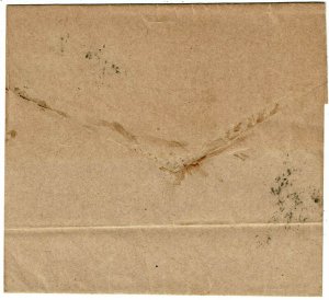 Brazil 1896 Rio de Janeiro cancel on wrapper to COSTA RICA