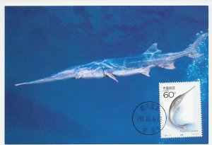 Maximum card China 2001 Fish - Paddlefish - Swordfish