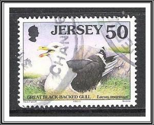 Jersey #871 Birds Used