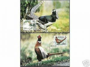 1997 CHINA-SWEDEN JOINT STAMP MC RARE BIRDS 2V 