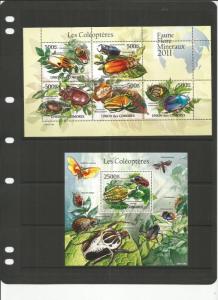 COMOROS INSECTS MNH