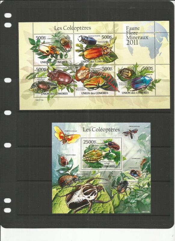 COMOROS INSECTS MNH