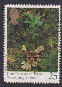 G.B. 1995  Centenary of the National Trust- Oak Seedling - 25p -  used