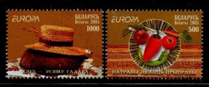 Belarus Sc 555-556  2005 Europa stamp set mint NH