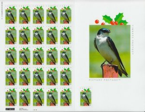 SWALLOW = Picture Postage Sheet 25+1 with ENLARGEMENT Canada 2014 p75b2