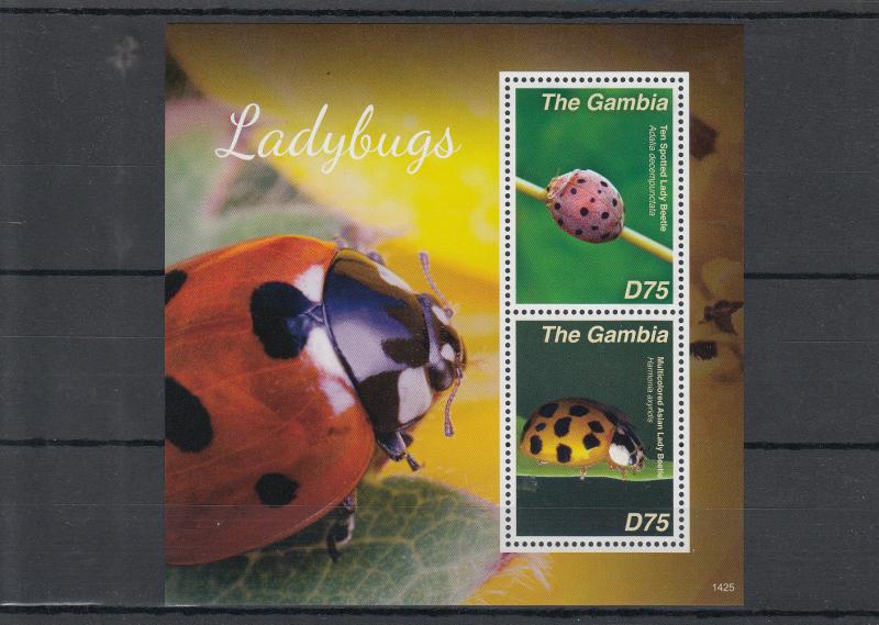 Gambia 2014 MNH Ladybugs 2v S/S II Insects Ladybirds Beetles Asian Lady Beetle