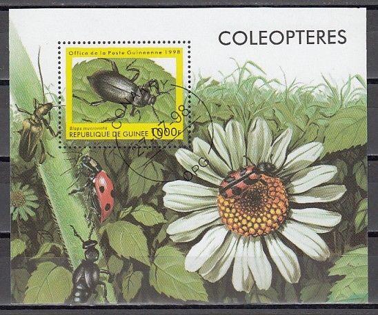 Guinea, 1998 issue. Beetle, Insect s/sheet.  Canceled, C.T.O.