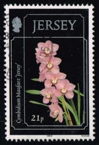 Jersey #890 Cymbidium Maufant; used (0.80)