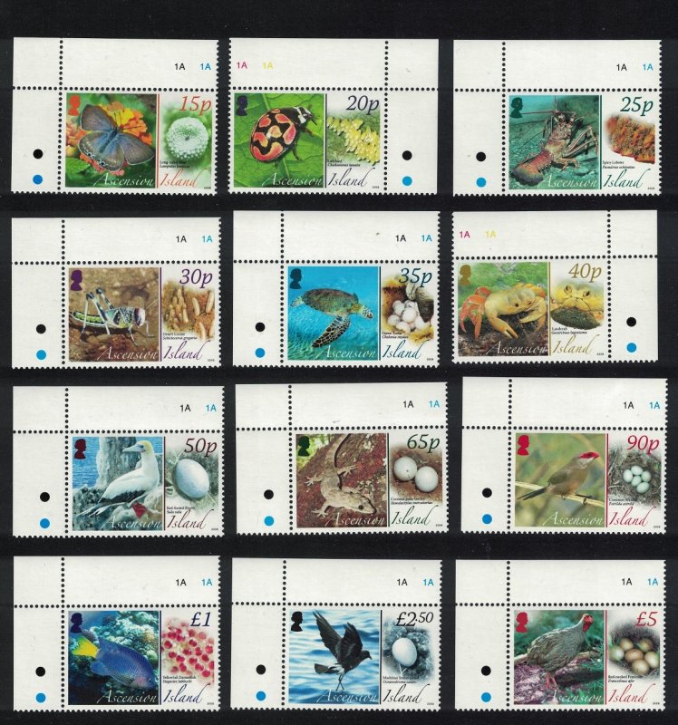 Ascension Birds Butterflies Fauna and their Eggs 12v Corners 2007 MNH