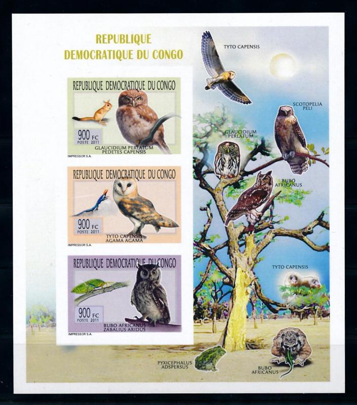 [75625] Congo Kinshasa 2011 Birds Owl Frog Imperf. Sheet MNH
