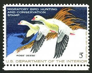 U.S. #RW44 MINT OG NH