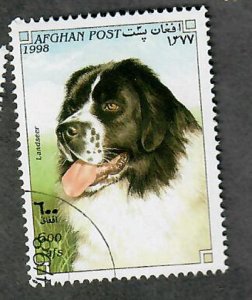 Afghanistan Landseer Dog single from 1998