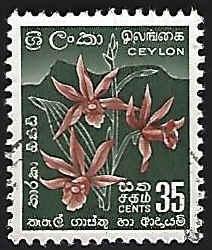 Ceylon Scott 314 Star Orchid Used