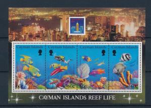 [40703] Cayman Islands 1994 Marine Life Reef Fish MNH Sheet